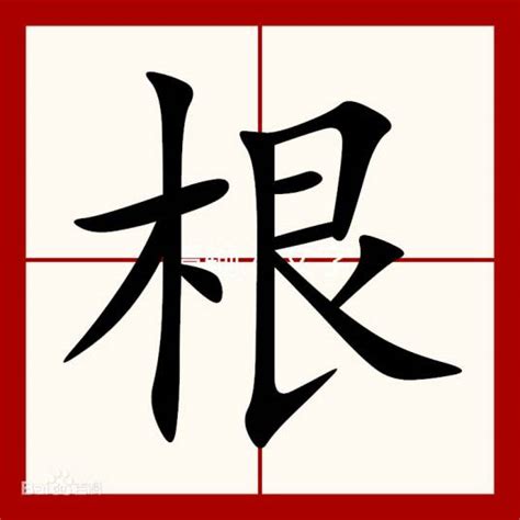 根意思|根（汉语文字）